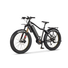 Wholesale Full Suspension 48V 750W Electric Bike with Fat Tire
